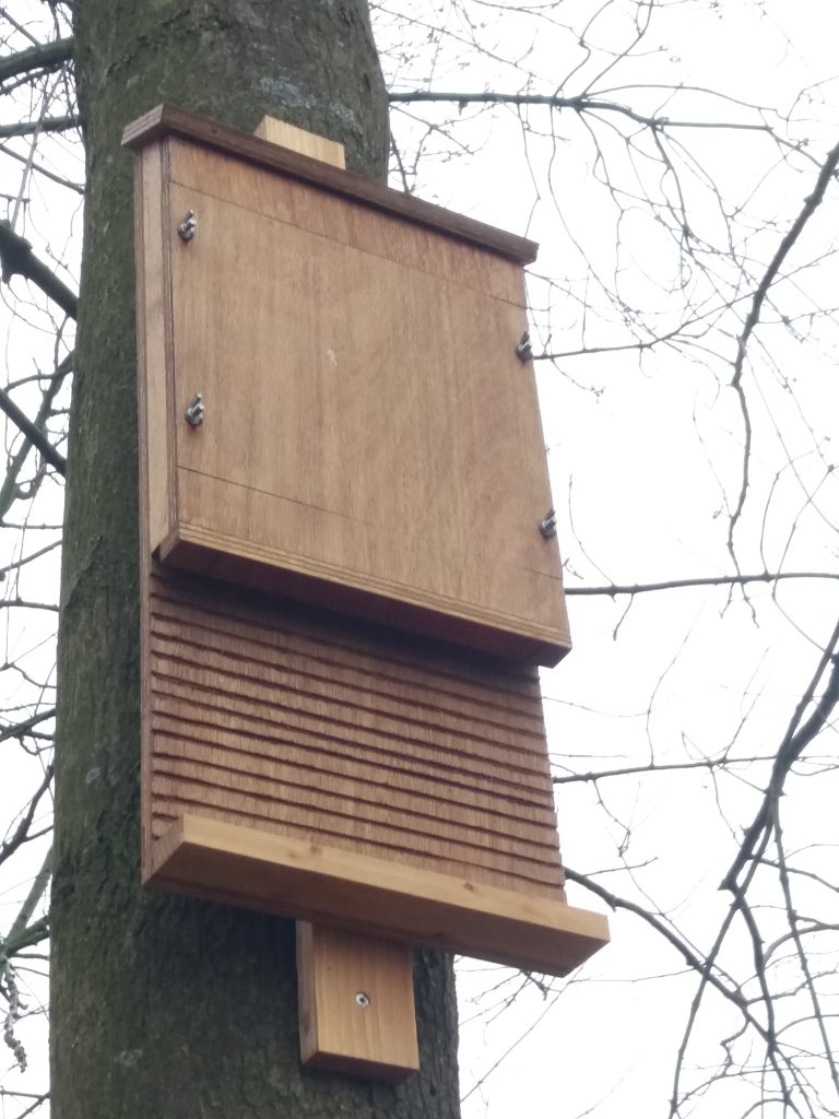 Vleermuiskast (1)